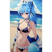 ホロライブ 湊あくあ C96 B2タペストリー がおう まかろん大帝 61-ZBnkcZcL._UF350,350_QL50_.jpg