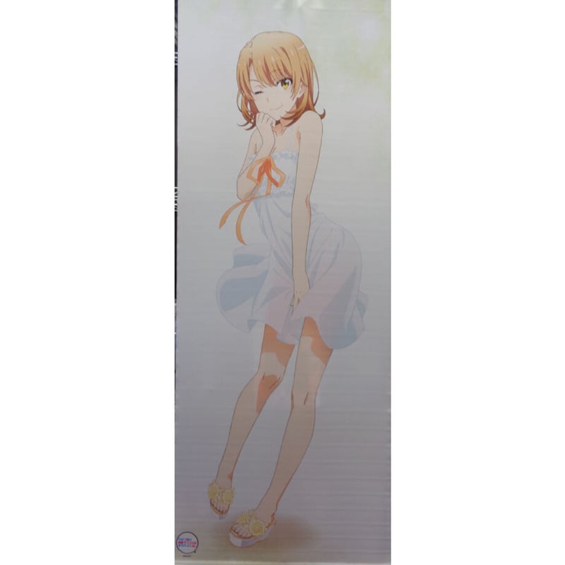 やはり俺の青春ラブコメはまちがっている。 等身大タペストリー 一色 