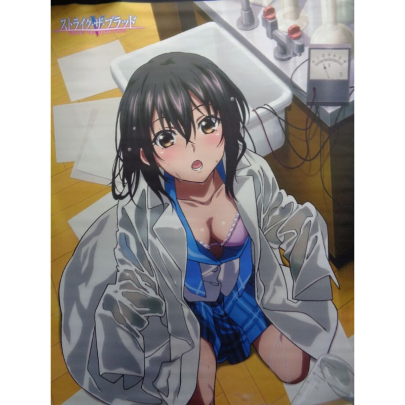 ストライク・ザ・ブラッドV B2タペストリー 姫柊雪菜 実験室 | K ストライク・ザ・ブラッドV B2タペストリー 姫柊雪菜 実験室 | K