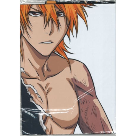 BLEACH グリムジョー 等身大布ポスター Amazon.co.jp: BLEACH EX
