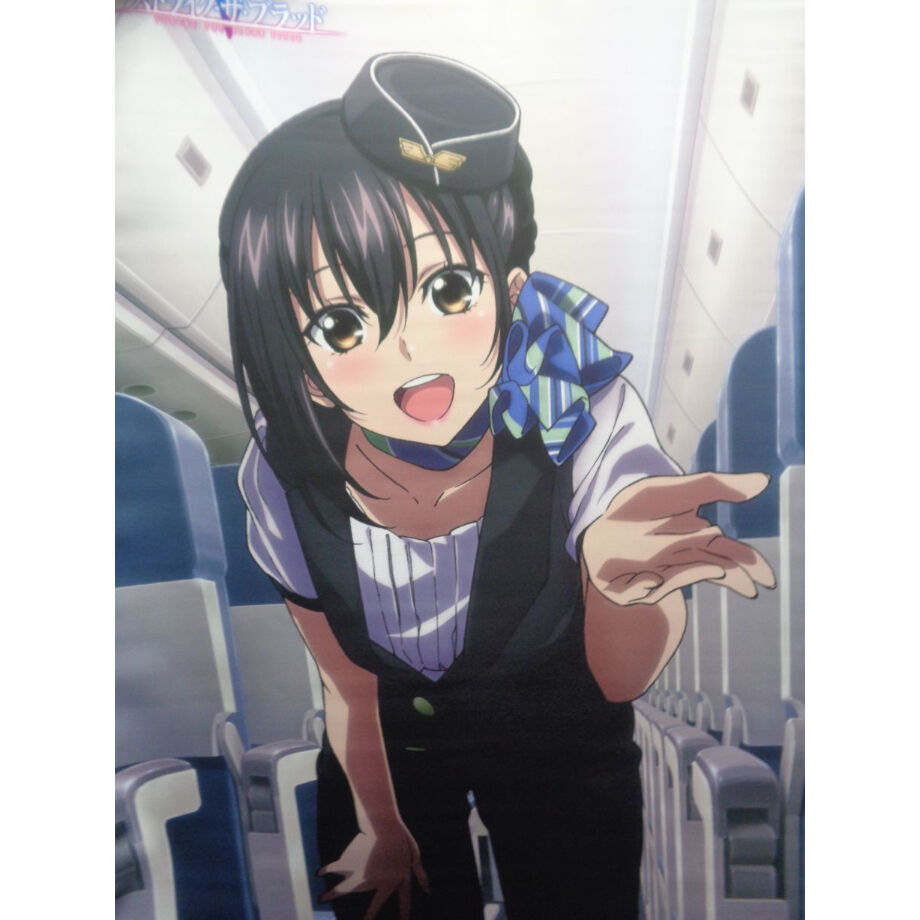 ストライク・ザ・ブラッドV B2タペストリー 姫柊雪菜 CA | K-BOOKS 秋葉原