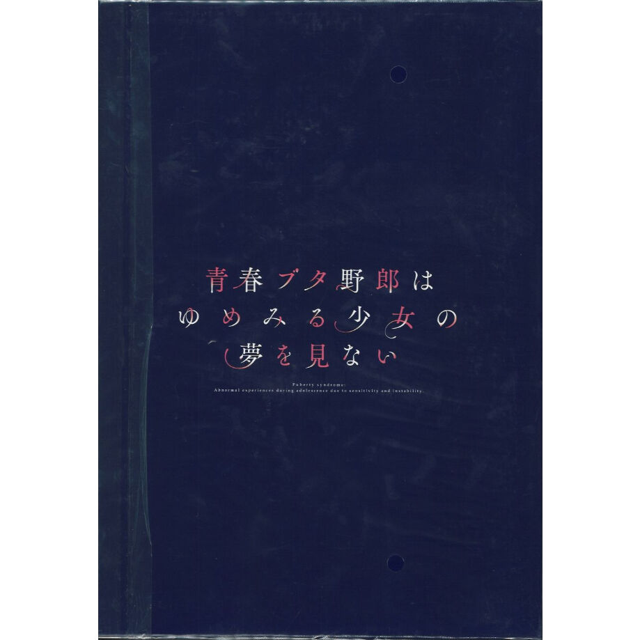 【新品】青春ブタ野郎はゆめみる少女の夢を見ない パンフレット 豪華版になります。