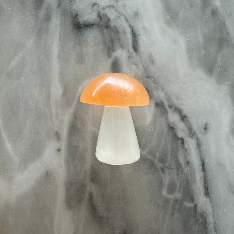 キノコの石 楽天市場】amabro MUSHROOM STONE -Petrified Wood- オブジェ
