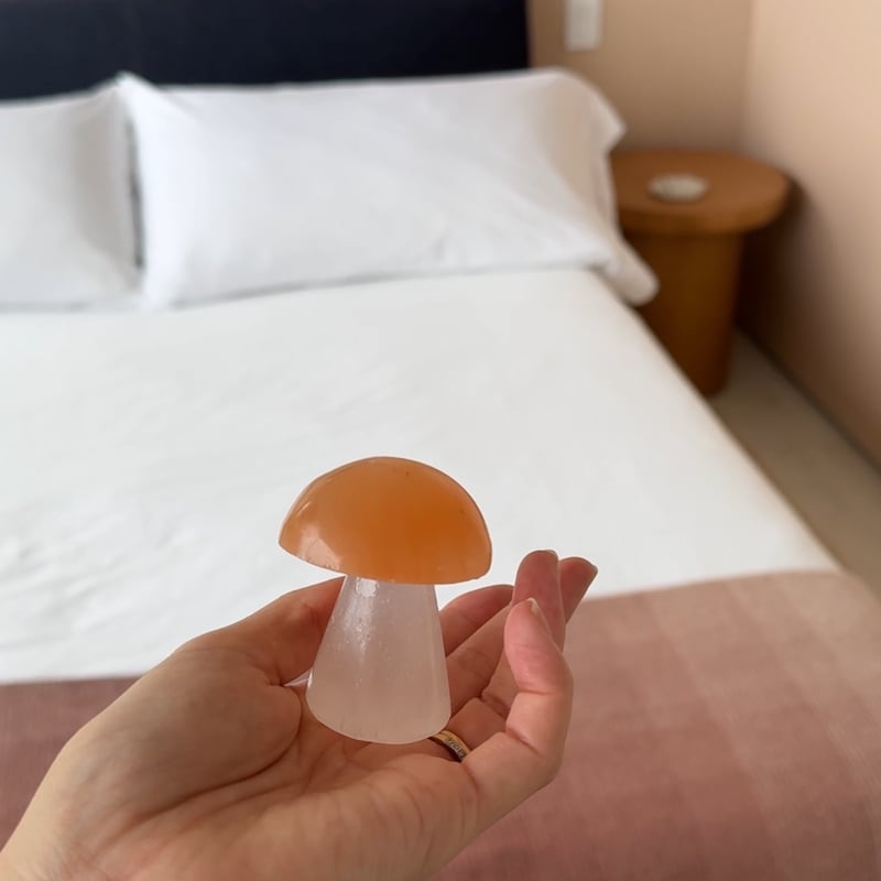 Peach Selenite Mashroom 【Topanga Rocks】 | Karin