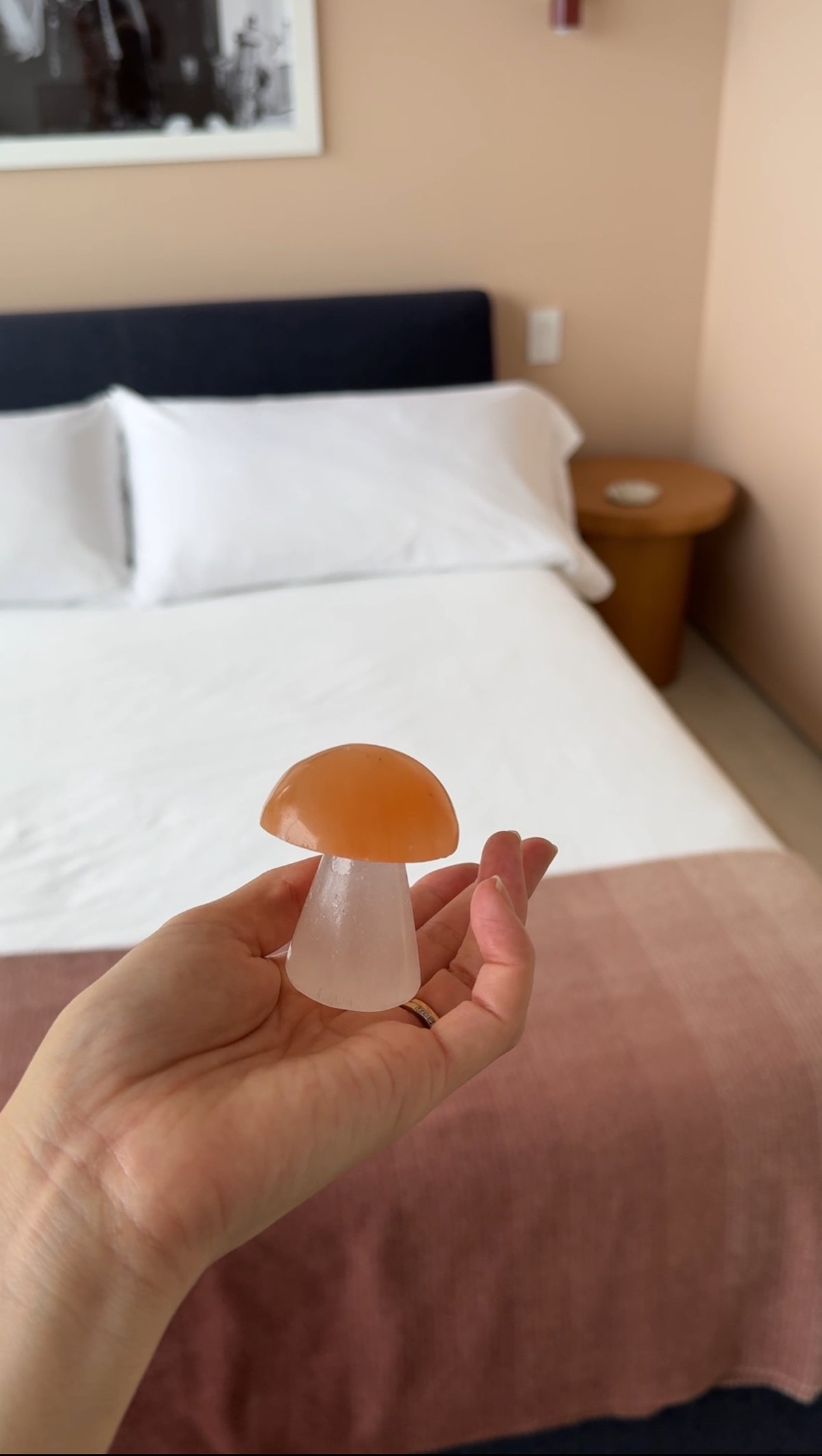 Peach Selenite Mashroom 【Topanga Rocks】 | Karin