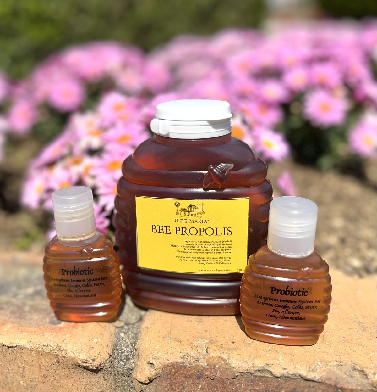 Propolis gold プロポリスゴールド | Bees Miracle