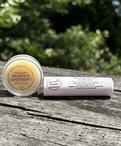 Propolis Ointment プロポリス軟膏