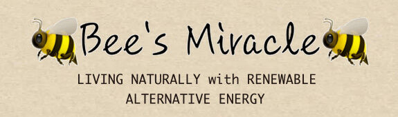Bees Miracle
