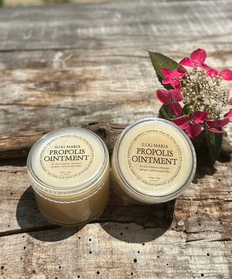 Propolis Ointment プロポリス軟膏