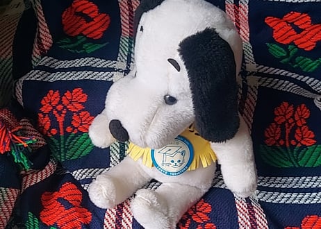 吉徳・スヌーピーに似た犬のぬいぐるみ
