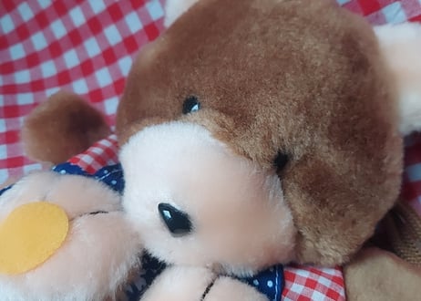 Fancy🩷ᩚくまのショルダーポーチ🐻