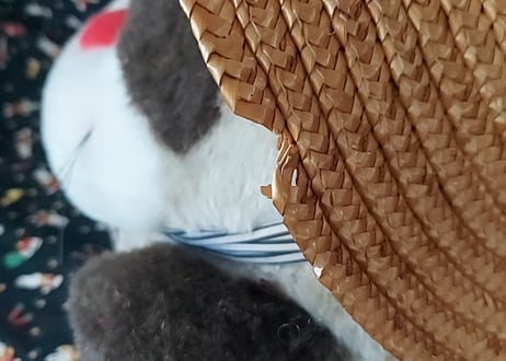 福たぬきᐢ⓿ᴥ⓿ᐢとっくりたん ぬいぐるみ
