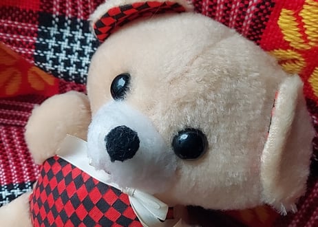チェッカーフラッグ柄のくま🧸ぬいぐるみ
