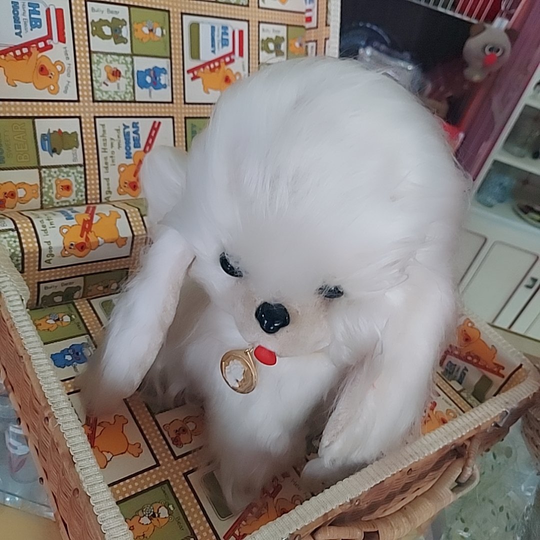 白毛のお手入れわんちゃん | あんちーくKIDAN STORE