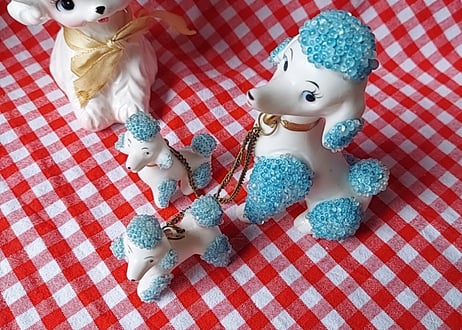 つぶつぶの付いたチェーン付きプードル🐩
