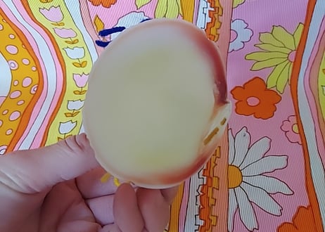 南国土産🌴うさぎの貝殻細工の置物