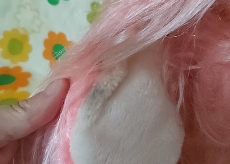 ピンクのお手入れわんちゃん