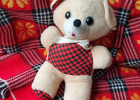 チェッカーフラッグ柄のくま🧸ぬいぐるみ