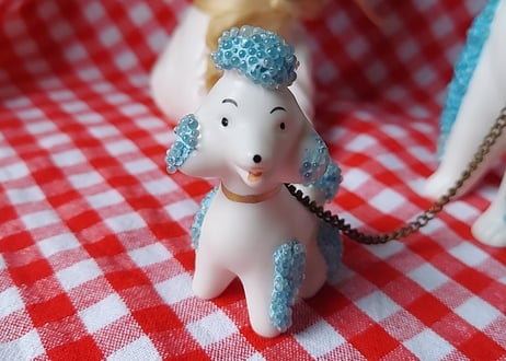 つぶつぶの付いたチェーン付きプードル🐩