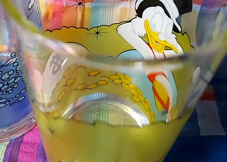 Disney・ドナルドグラス 💰