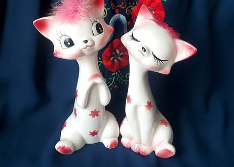 金平糖みたいなお花🌸ペアの猫ちゃん