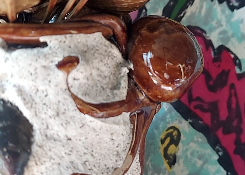 熱海!!お土産品の蛸壺の花瓶 | あんちーくKIDAN STORE