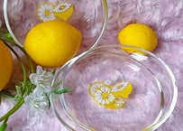 輪切り檸檬🍋硝子の小皿
