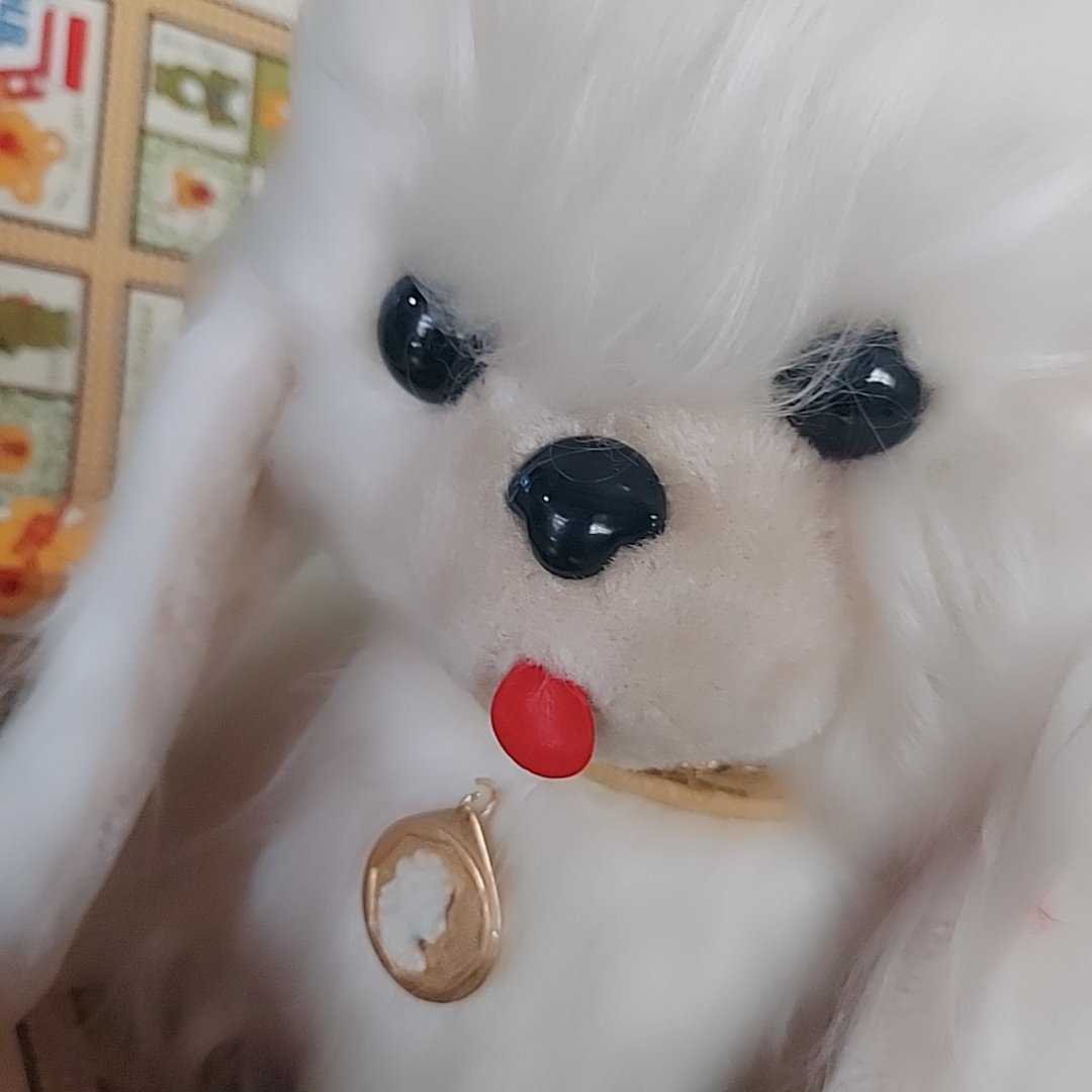 白毛のお手入れわんちゃん | あんちーくKIDAN STORE