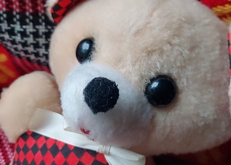 チェッカーフラッグ柄のくま🧸ぬいぐるみ