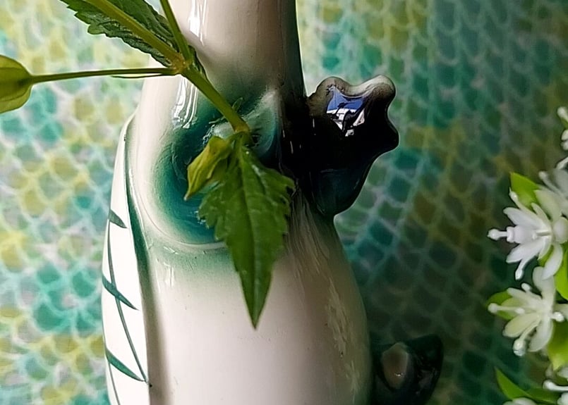 お花みたいなお沙羅の河童陶器 | あんちーくKIDAN STORE