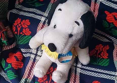 吉徳・スヌーピーに似た犬のぬいぐるみ