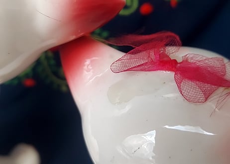 金平糖みたいなお花🌸ペアの猫ちゃん