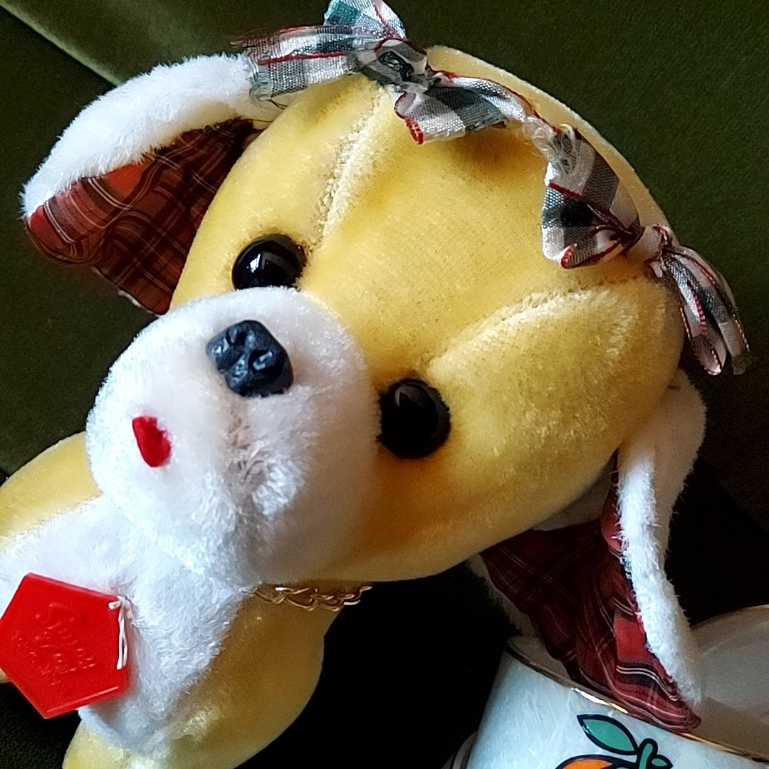 いちごみるく⑅◡̈*、ダブルリボン(ブルー④)わんちゃん猫ちゃん用首輪 いちごみるく⑅◡̈*様専用、ダブルリボン(ブルー④)わんちゃん猫