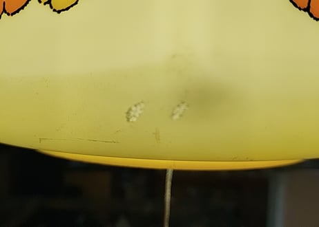 松下電工🌼*･ポップなお花のプラスティック電気