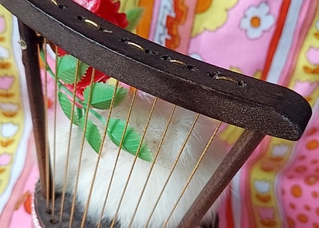 木製チェアとスピッツ