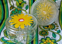 底がカットのお花プラケース