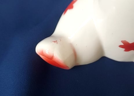金平糖みたいなお花🌸ペアの猫ちゃん