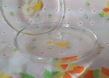 レモンの輪切り🍋硝子の小皿