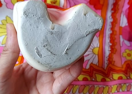 30年代✩.*˚鯛を持った熊ʕ•ᴥ•ʔ   白