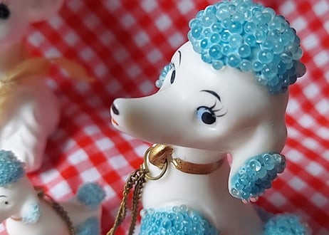 つぶつぶの付いたチェーン付きプードル🐩