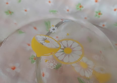 レモンの輪切り🍋硝子の小皿