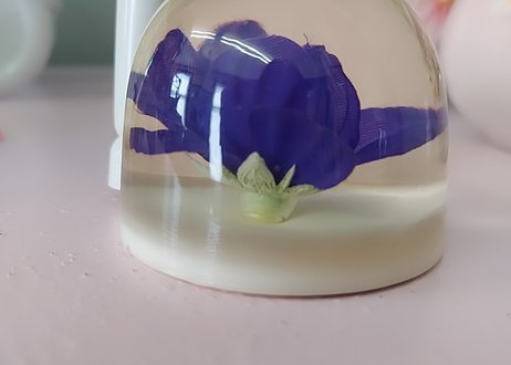 アクリル樹脂･水中花のペン立て