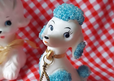 つぶつぶの付いたチェーン付きプードル🐩