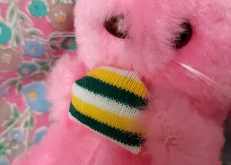 ラッコのぬいぐるみ ラッコズ ラコレディ ぬいぐるみ