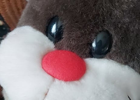 福たぬきᐢ⓿ᴥ⓿ᐢとっくりたん ぬいぐるみ