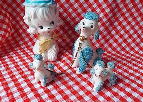 つぶつぶの付いたチェーン付きプードル🐩