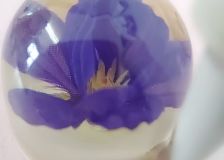 アクリル樹脂･水中花のペン立て