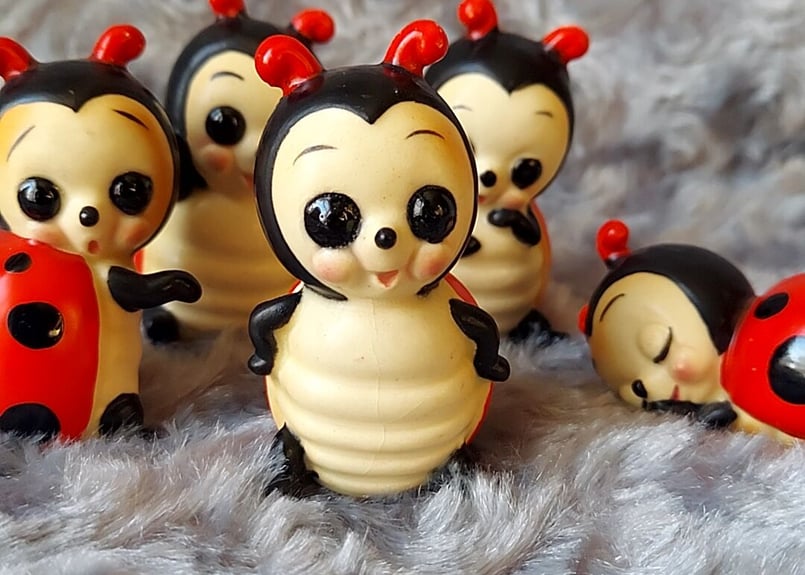 ADA 陶器 虫入れ 虫音 ADA 陶器 虫入れ 虫音 - メルカリ