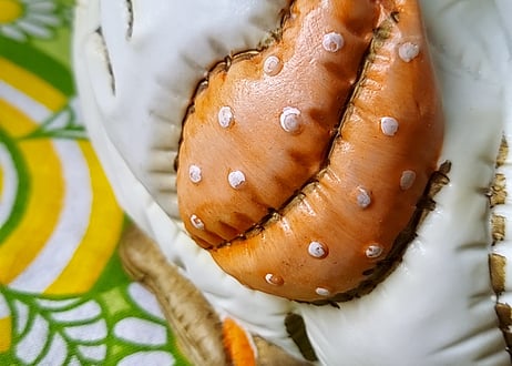 海外輸出用・お花柄のスワンの置物🦢