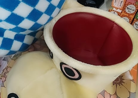 わんちゃんのDOLL型ドリームBOX